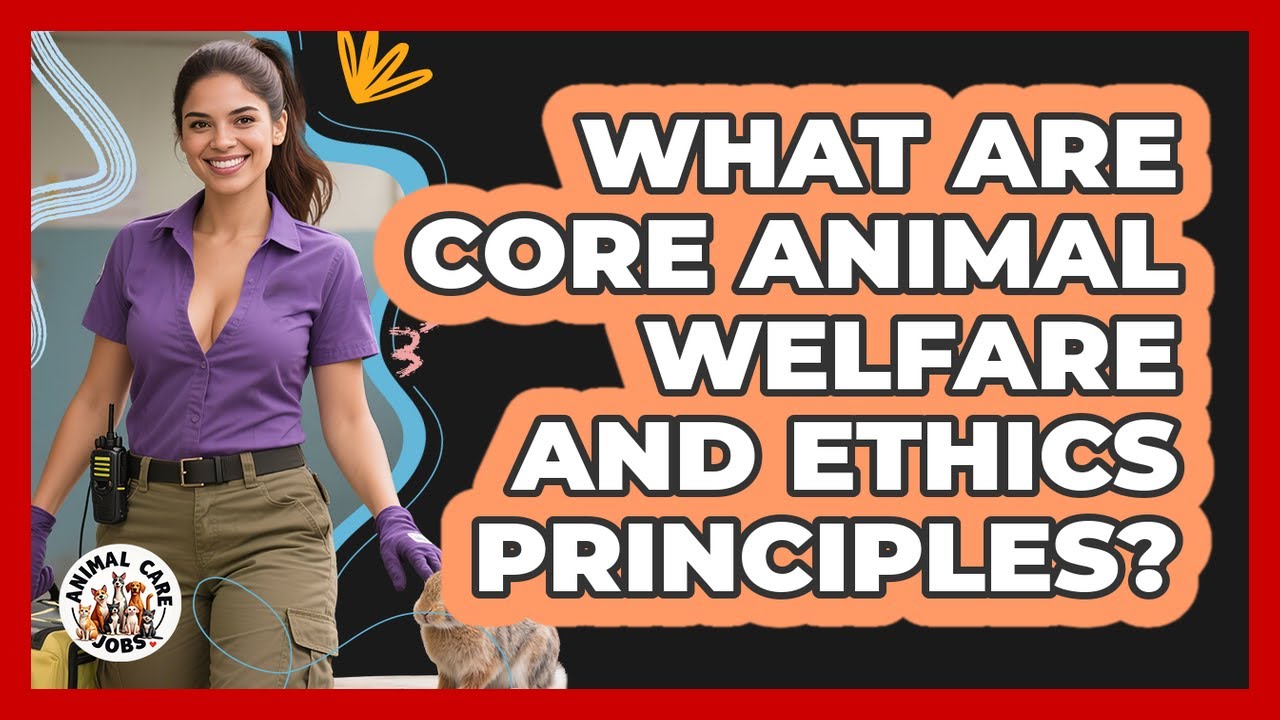 What Are Core Animal Welfare And Ethics Principles? - Animal Care Jobs