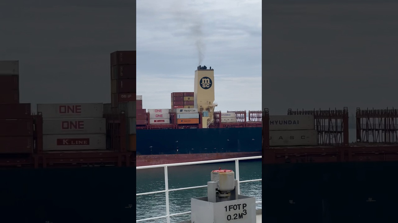 World&rsquo;s biggest container ship MSC 400m long ship 🚢 #shorts