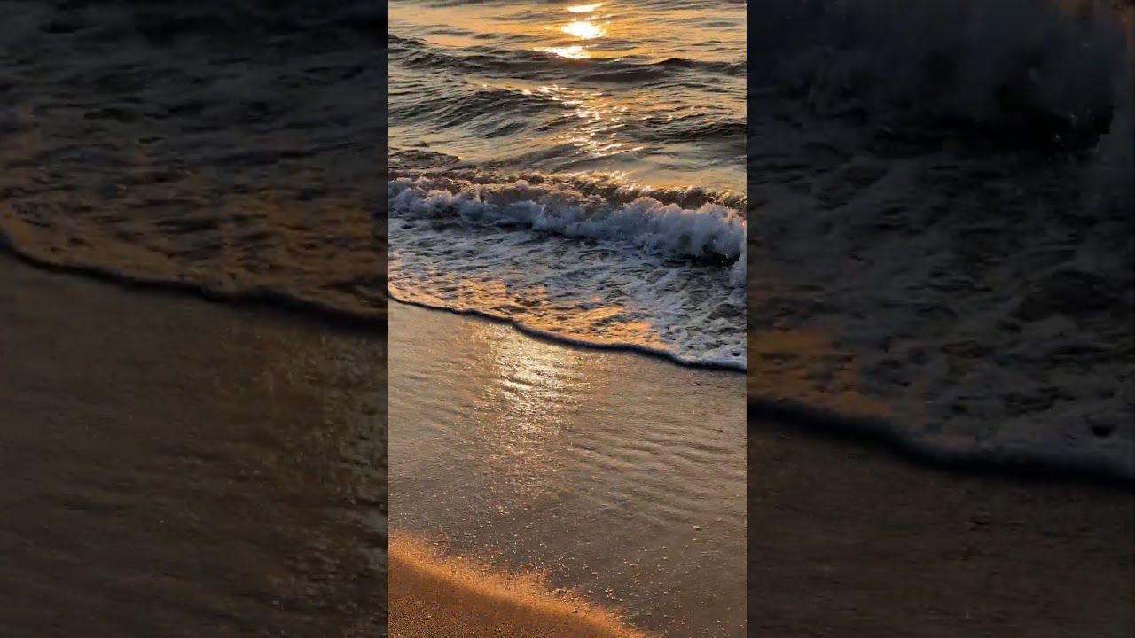 This Nature View Will Calm Your Soul 🍃✨ 