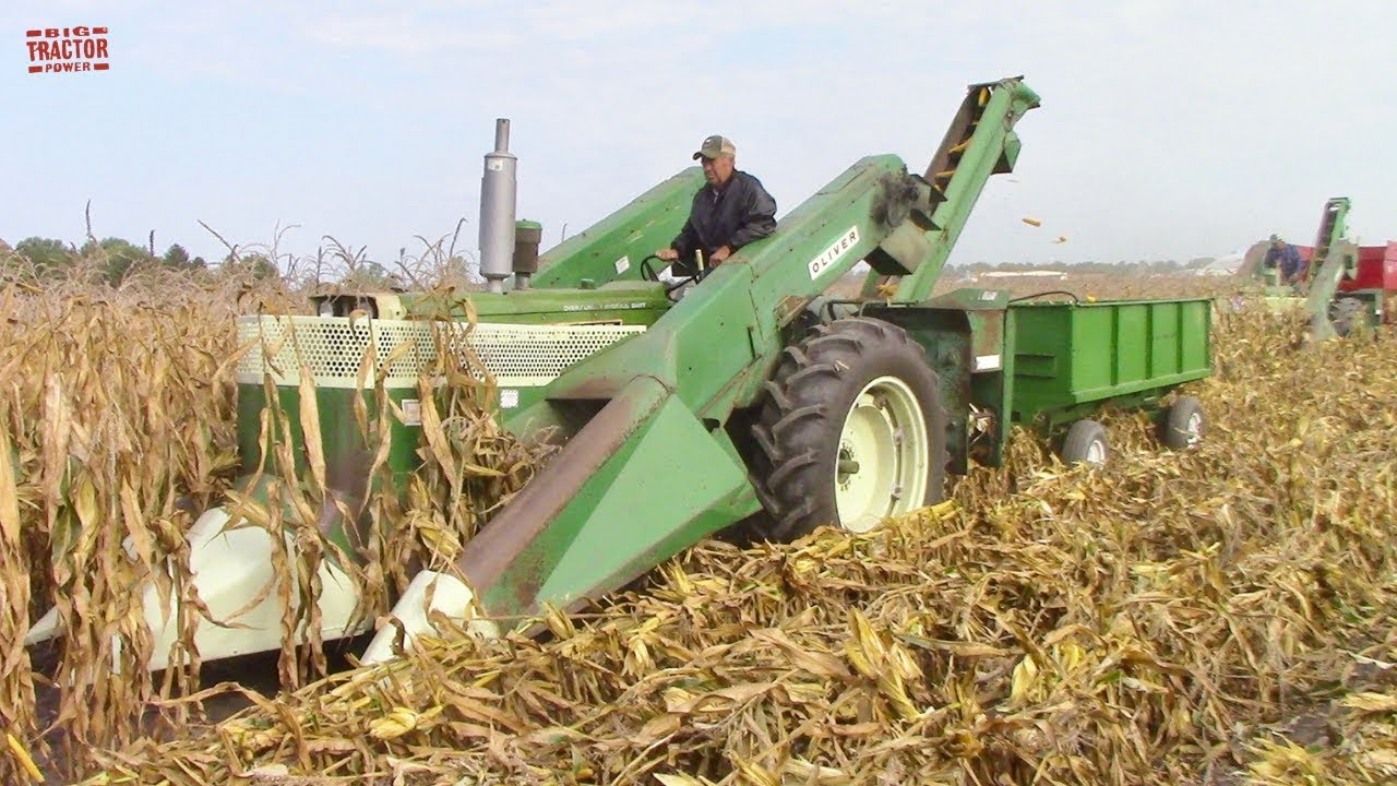 Oliver Tractor Corn Harvesting From 50 Years Ago