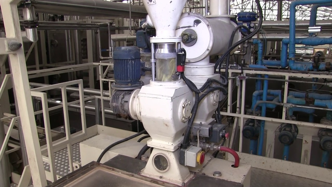 LINEA DE PRODUCCI&Oacute;N PASTA LARGA PL 1600