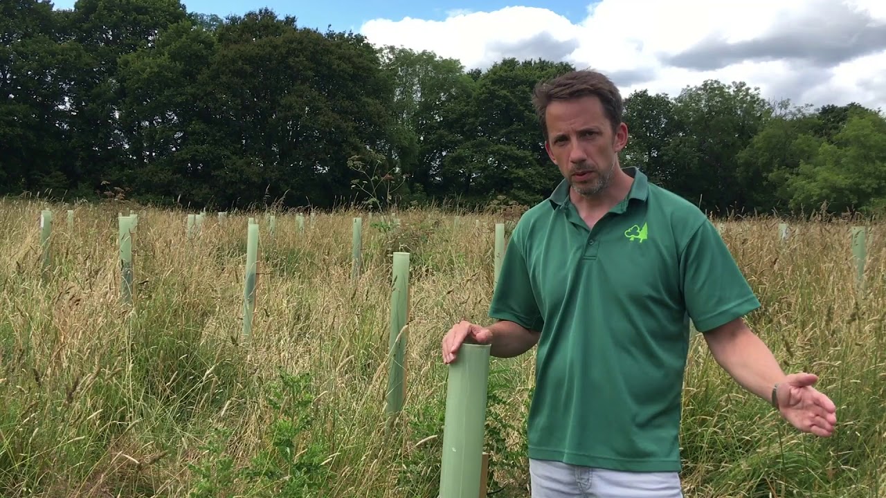 Hear more about the Countryside Stewardship Woodland Creation Grant