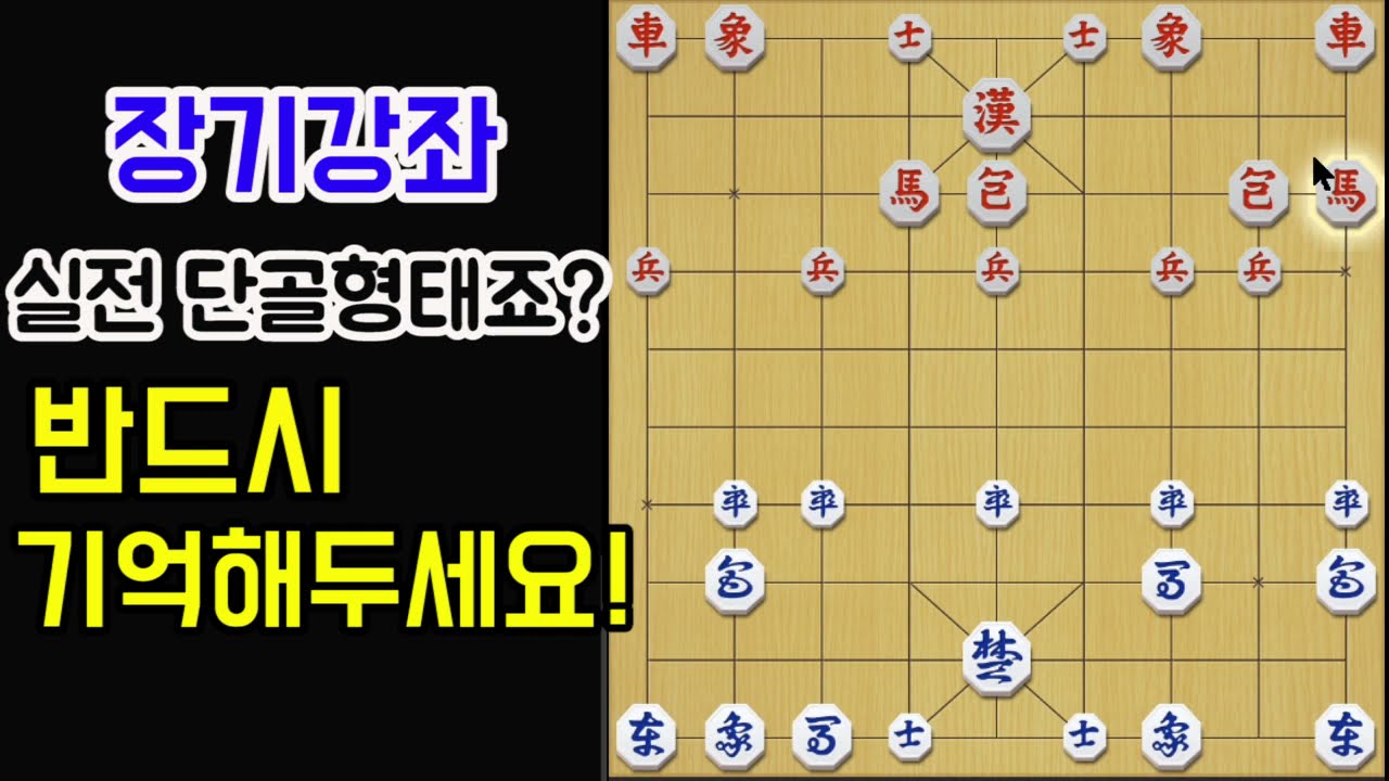 [장기강좌] 이형태 질문이 가장 많죠..! 꼭 기억해두세요~