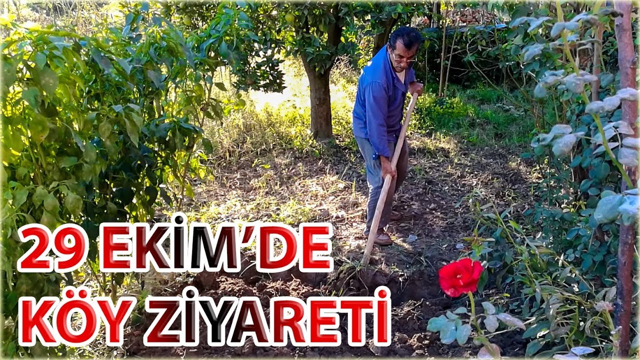 29 Ekim Cumhuriyet Bayramı'nda K&ouml;seli K&ouml;y&uuml;'ndeydik / Mithat USANMAZ