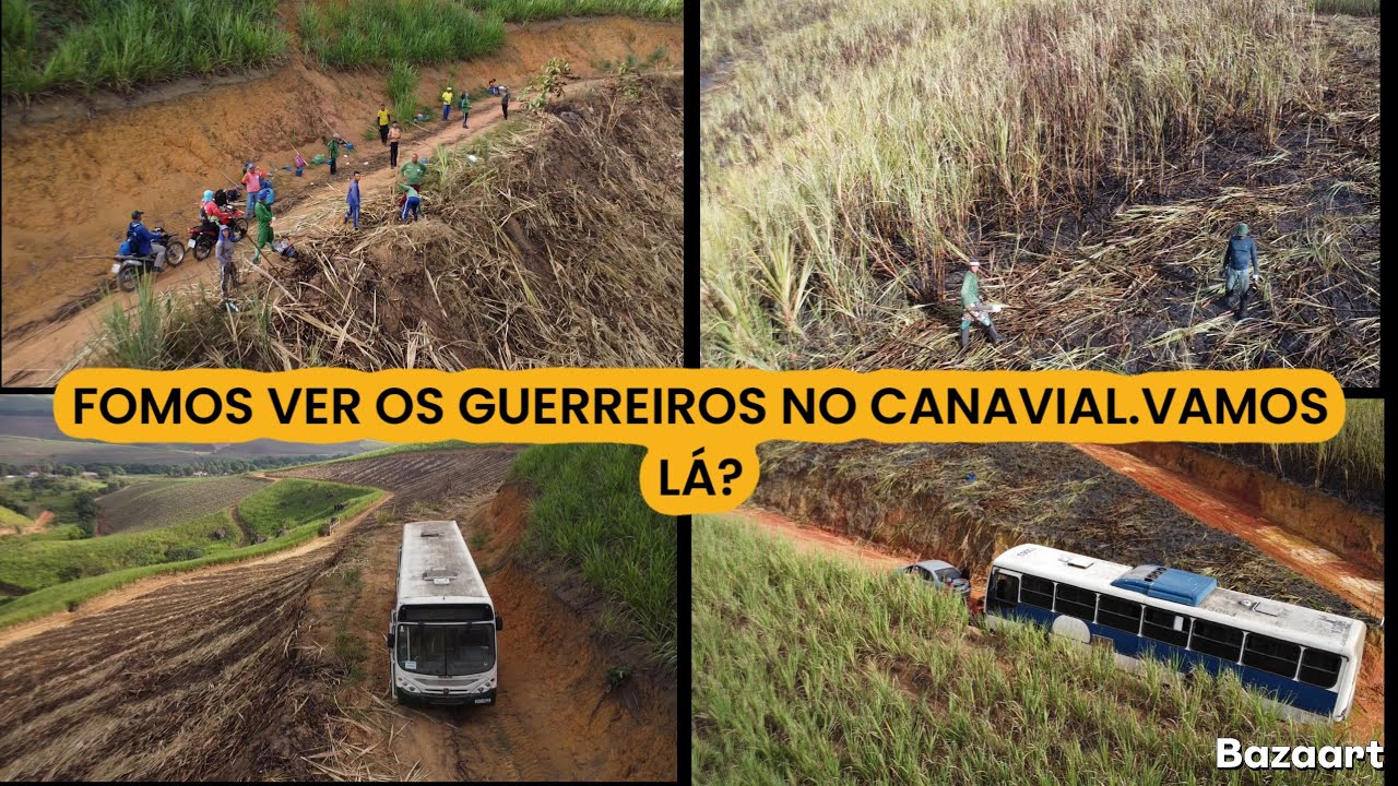 CORTE DE CANA EM AURORA.  JOGAMOS O DRONE CANAVIAL A DENTRO 