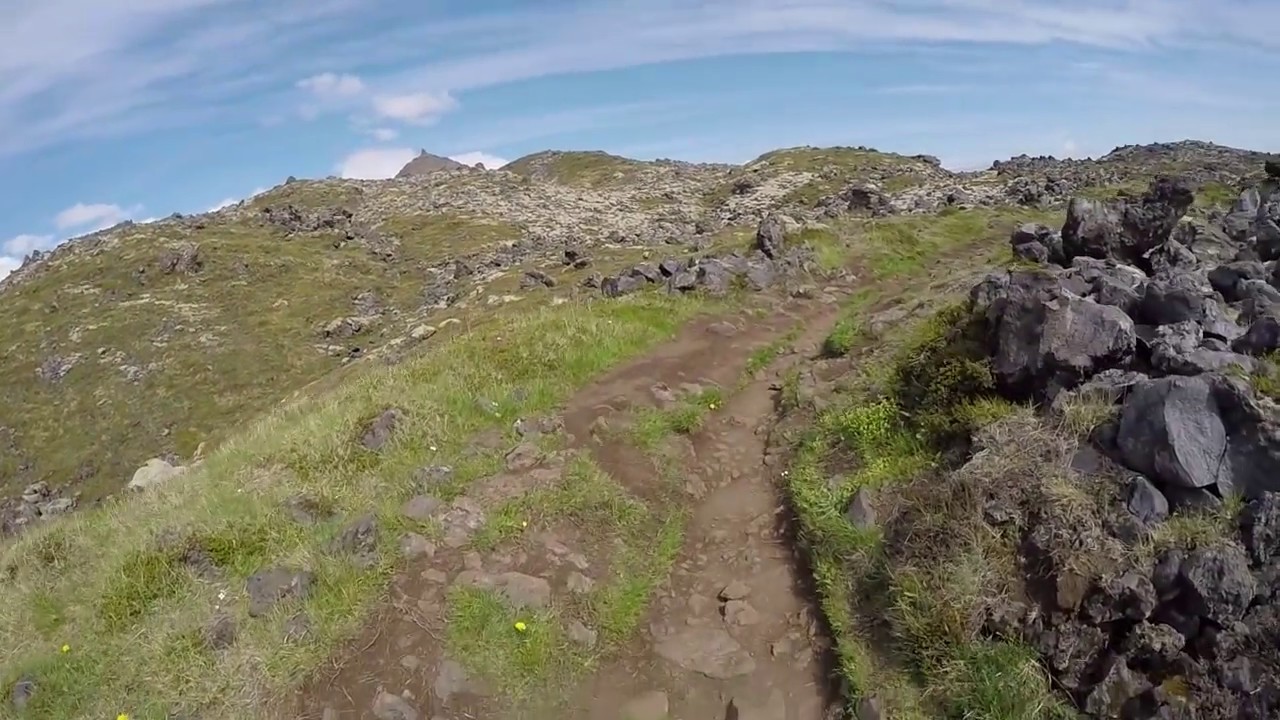 Hiking at a moss covered lava field Hellnar Iceland