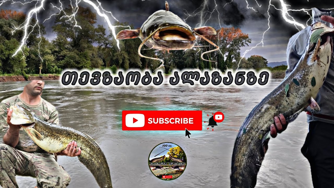 თევზაობა ალაზანზე ლოქოზე და ჭანარზე.
