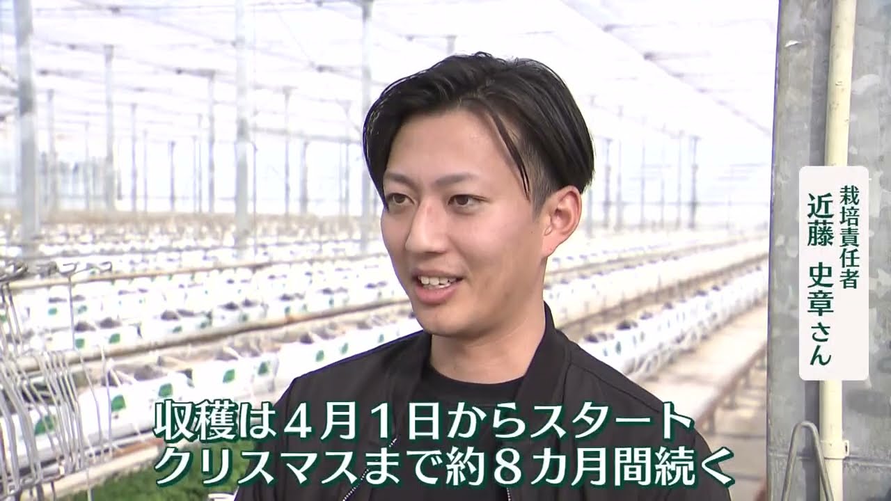 コメに依存しない「先進的農業」の可能性～農業のシンカを探る～ スーパーJにいがた1月18日OA