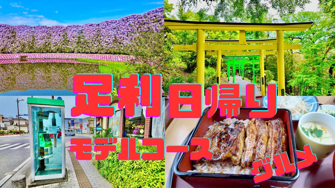 【4K】足利観光完全版(フラワーパーク/足利学校/グルメ/渡良瀬川巡礼)【Ashikaga's Great Wisteria】