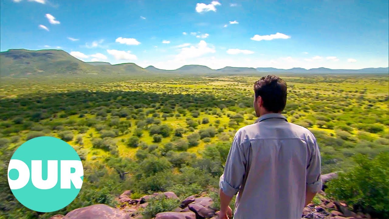 This Is The World Of Erindi Game Reserve in Namibia | Animal Kingdom | Our World