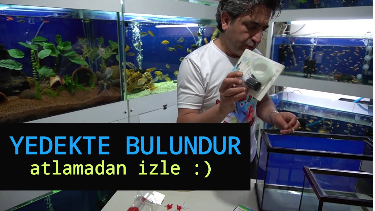 AKVARYUMUNUZ VARSA YEDEKTE BUNLAR OLMALI, akvaryum balıkları