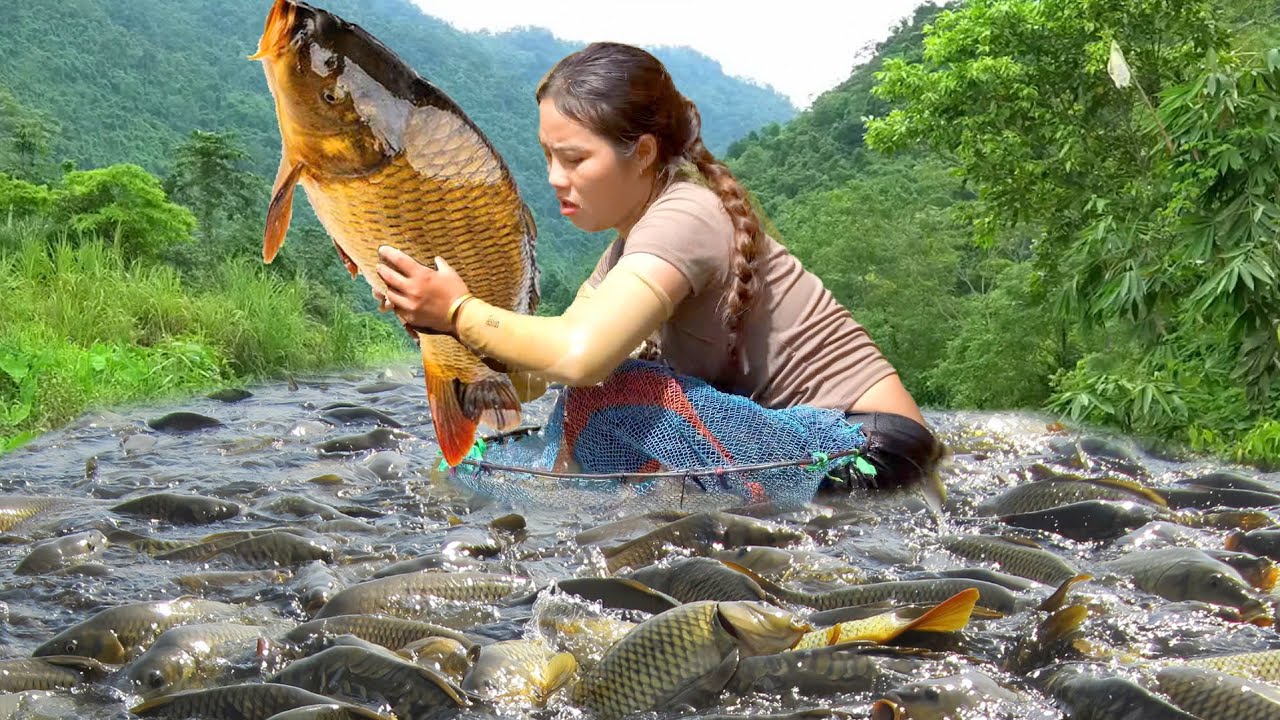Trap and Catch Huge River Fish with Kids – Take Them to the Market to Sell
