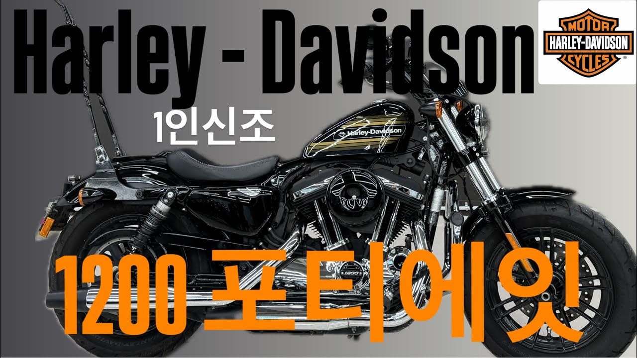 #포티에잇1200스페셜 20년식의 보기드문 1인신조 포티에잇~!, 남녀노소,시니어까지 최고의 인기차종