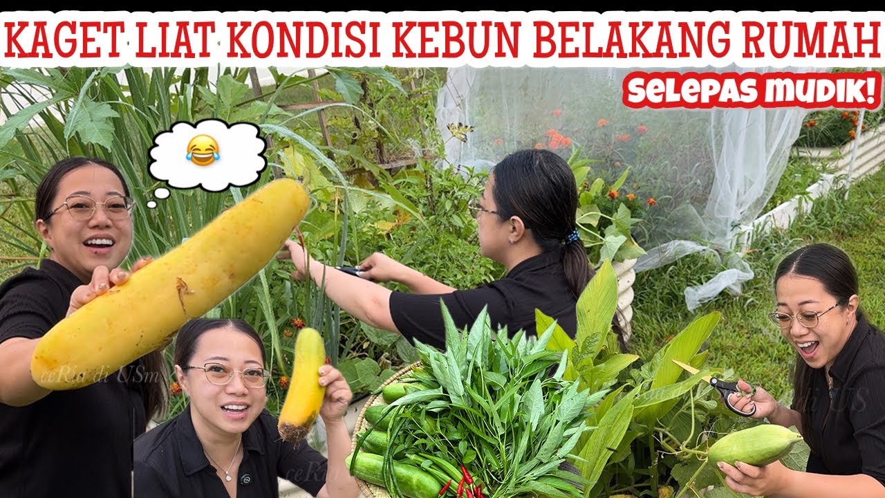 SEMENJAK DITINGGAL MUDIK JADI BEGINI 😆 TAPI MAYAN LA GA HARUS LANGSUNG KELUAR BELANJA DULU NIH