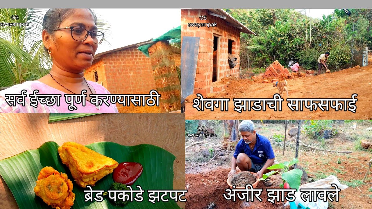 सर्व ईच्छा पूर्ण करायच्या 🌳 ब्रेड पकोडे झटपट , अंजीर झाड लावले#priyapawar #familyvlog #breadpakoda 