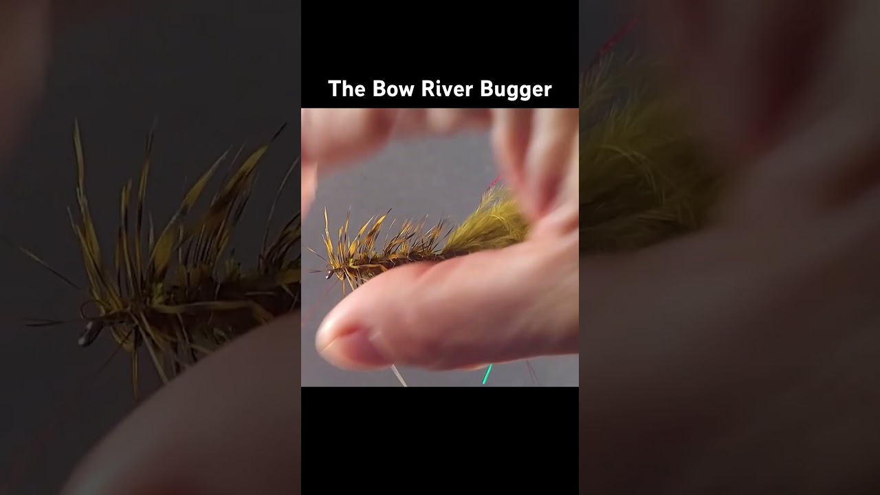 FLY TYING TROUT FLIES: THE BOW RIVER BUGGER #flyfishing #flytying #troutflies #trout