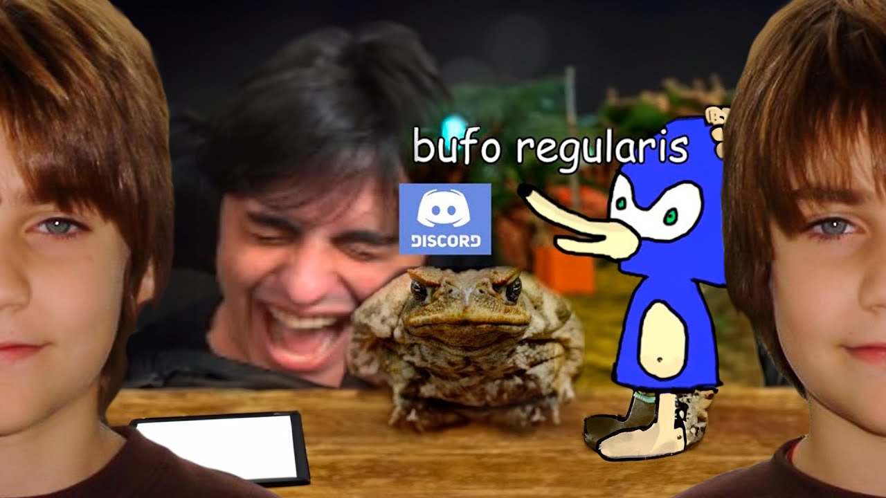 TROTE DO BUFOS REGULARIS | mount reage
