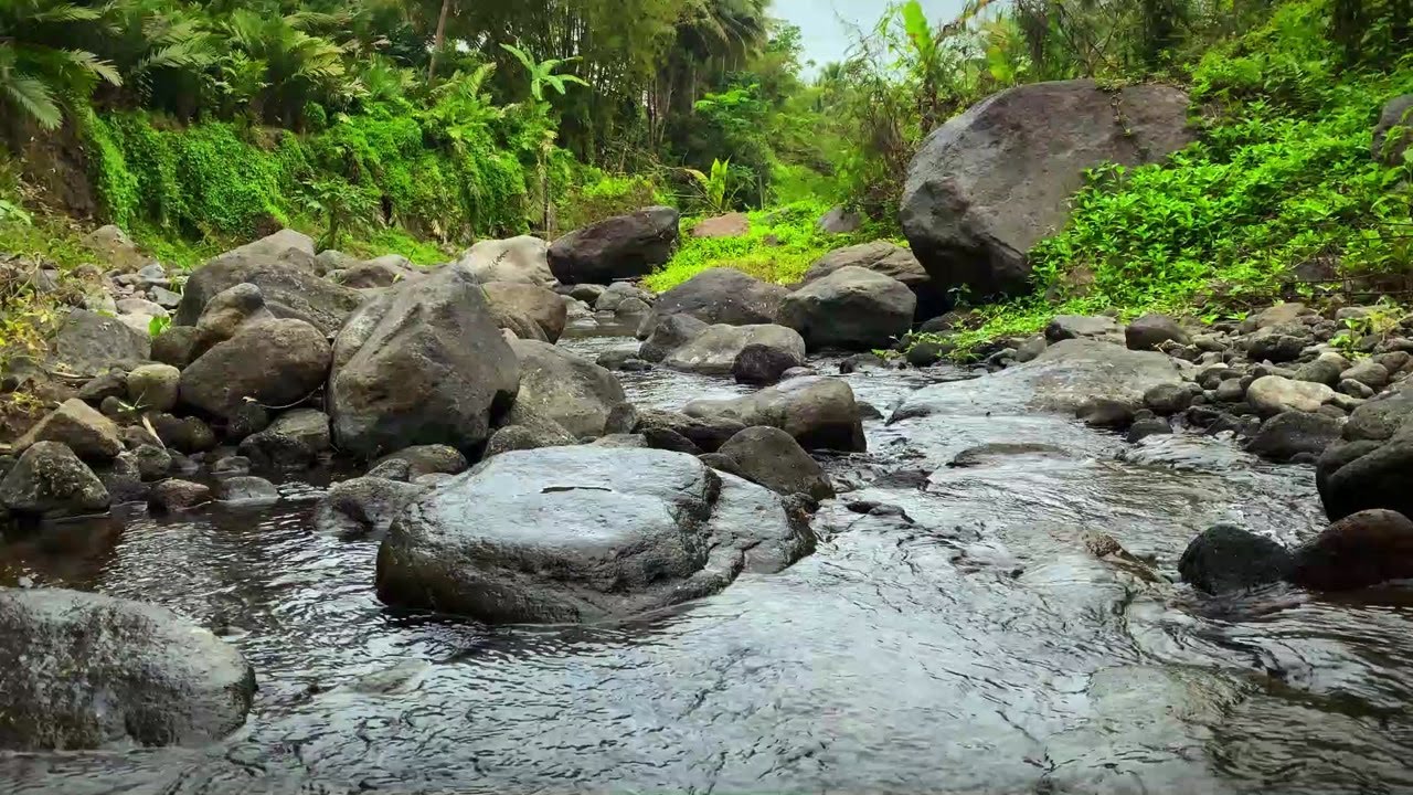 Calming Water Sounds for Yoga | Peaceful River Flow Ambience