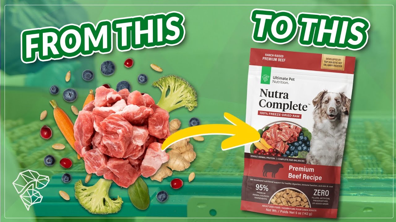 How Do We Make Our Freeze Dried Raw Dog Food? | Ultimate Pet Nutrition