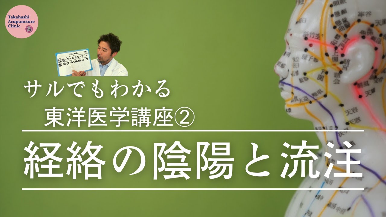 【サルでもわかる東洋医学講座②】経絡の陰陽と流注