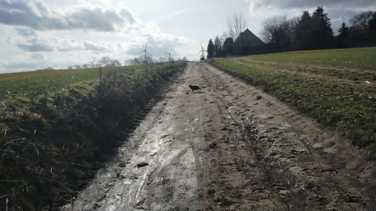 Geräusche der Windgeneratoren 28.02.2026 Kartlow bei Wismar Germany