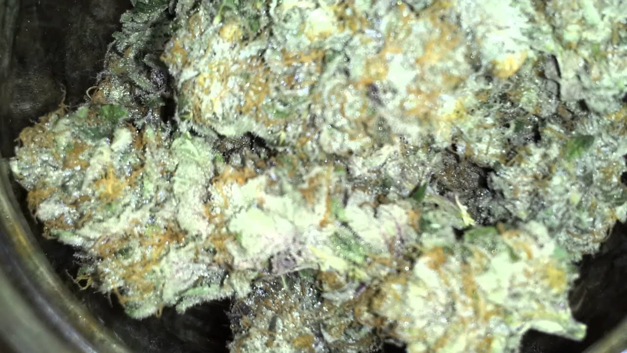 Qrazy Train harvest!  Bud porn!