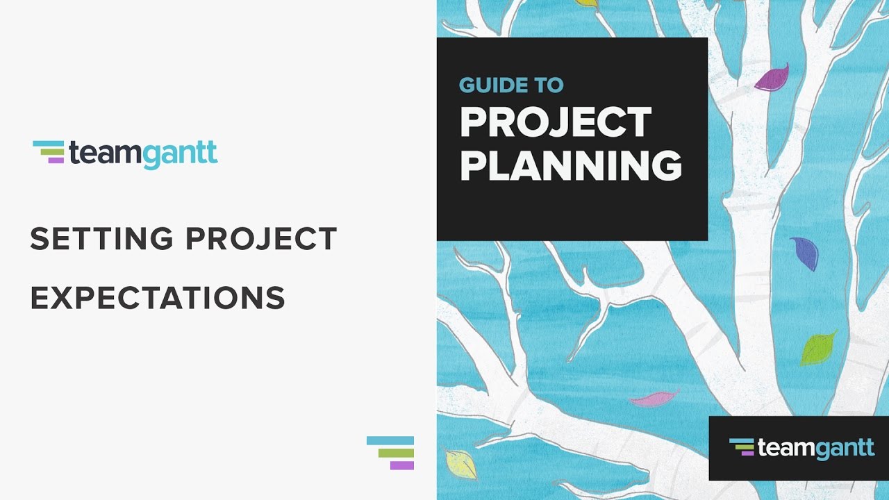 Setting Project Expectations