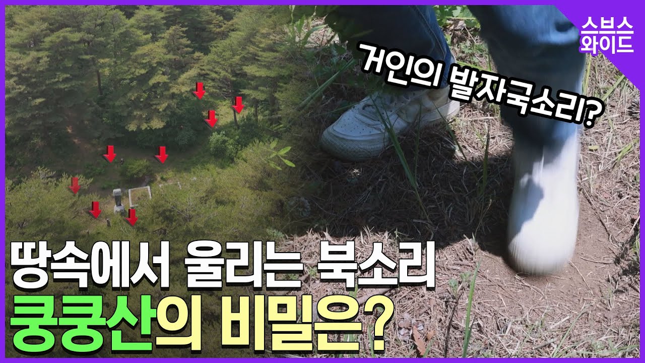 쿵 쿵 쿵... 땅속에 무언가가 있다?