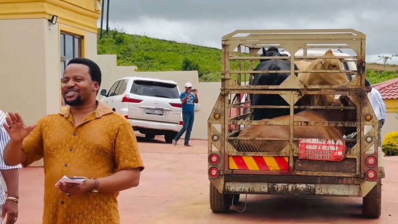 Umculi kamaskandi uKhuzani uphiwa izinkomo usuku nosuku sekusondele udwendwe lakhe