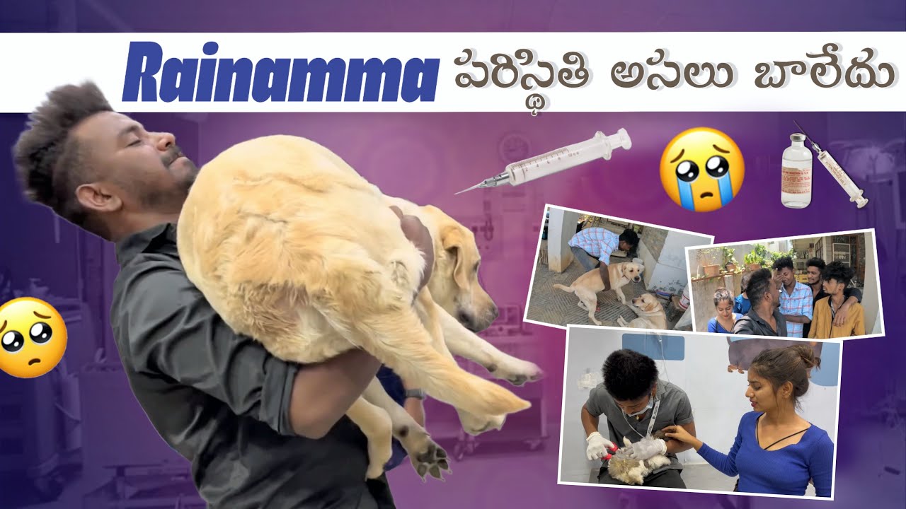 Rainamma పరిస్థితి అసలు బాలేదు|team@rishi_stylish_official |