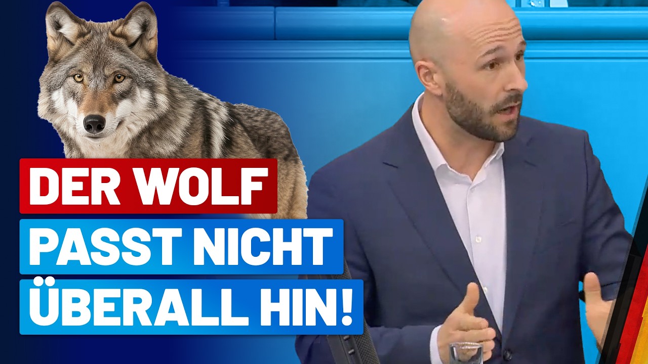 Julian Schmidt zum Jagdgesetz und Bundesnaturschutzgesetz!- AfD-Fraktion im Bundestag