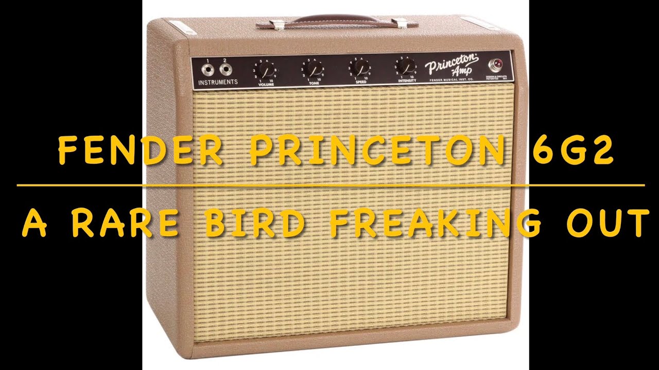 Fender Princeton Brownface restoration-fixing horrific loud hum-sound demo