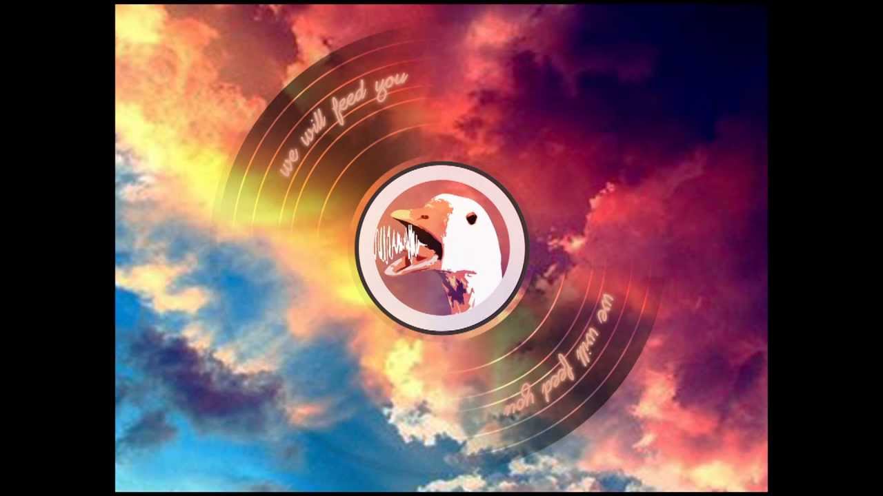Pantha du Prince - Steiner im Flug