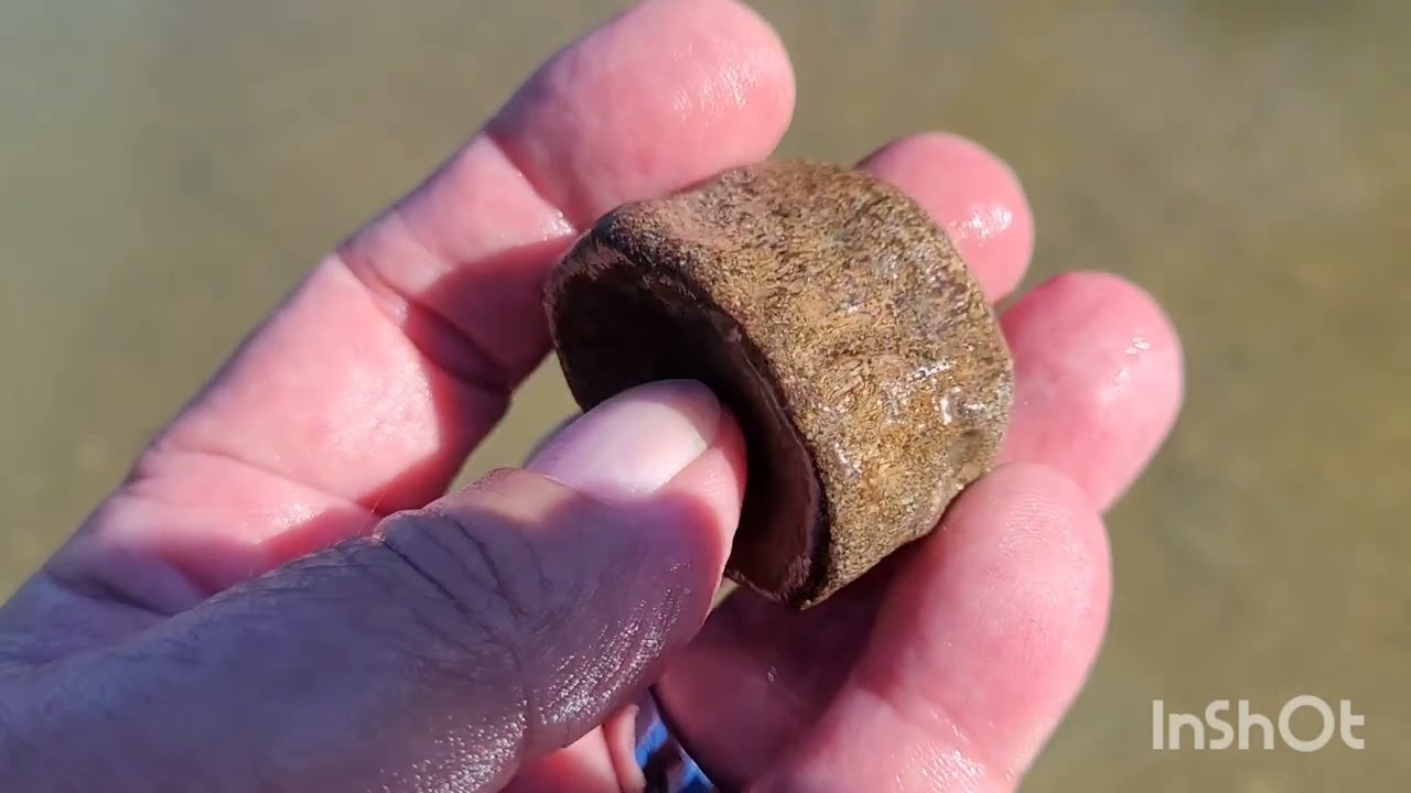 NSR - Texas Fossil Hunting... It is hot already!