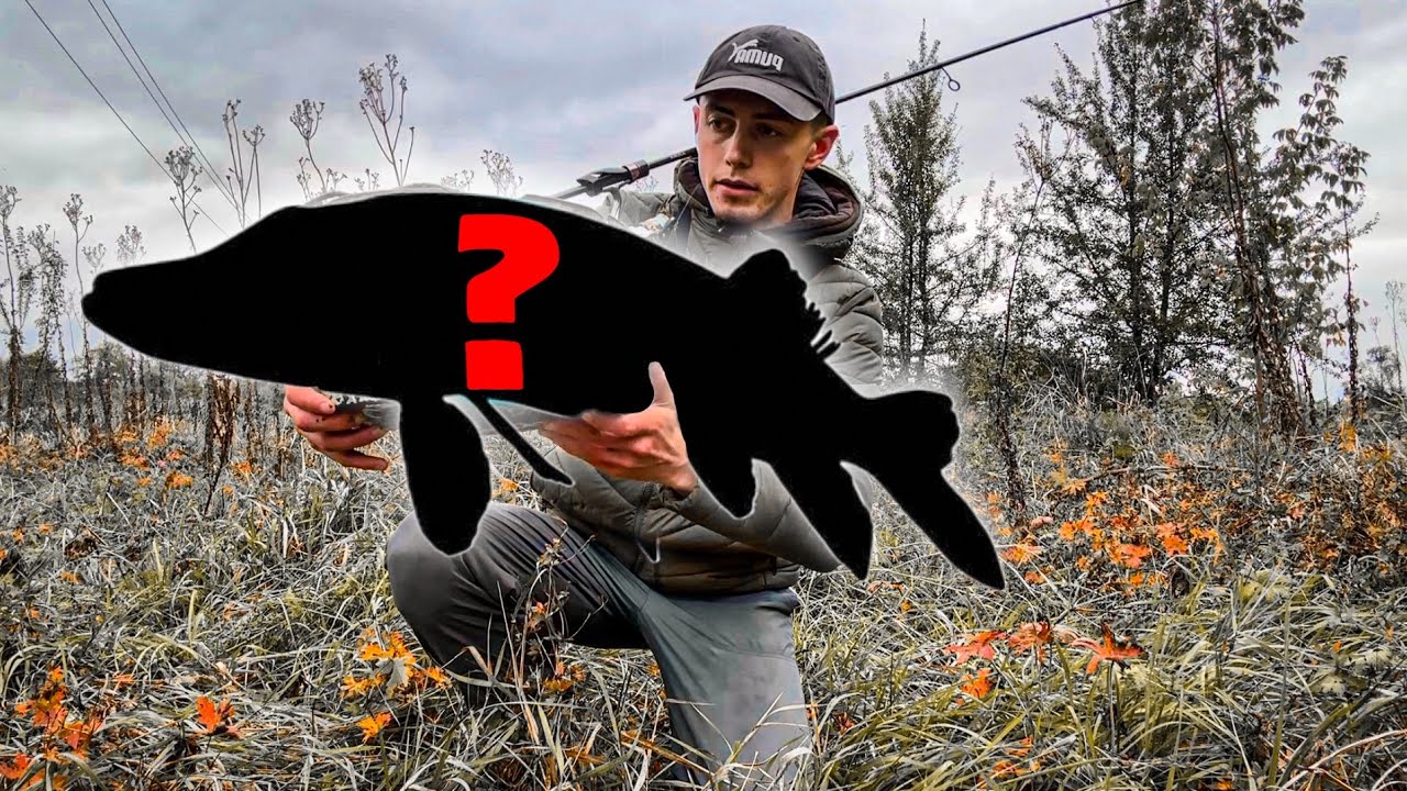 ЖОР ХИЖАКА РОЗПОЧАВСЯ? / РИБАЛКА НА ПОЧАТКУ ЖОВТНЯ