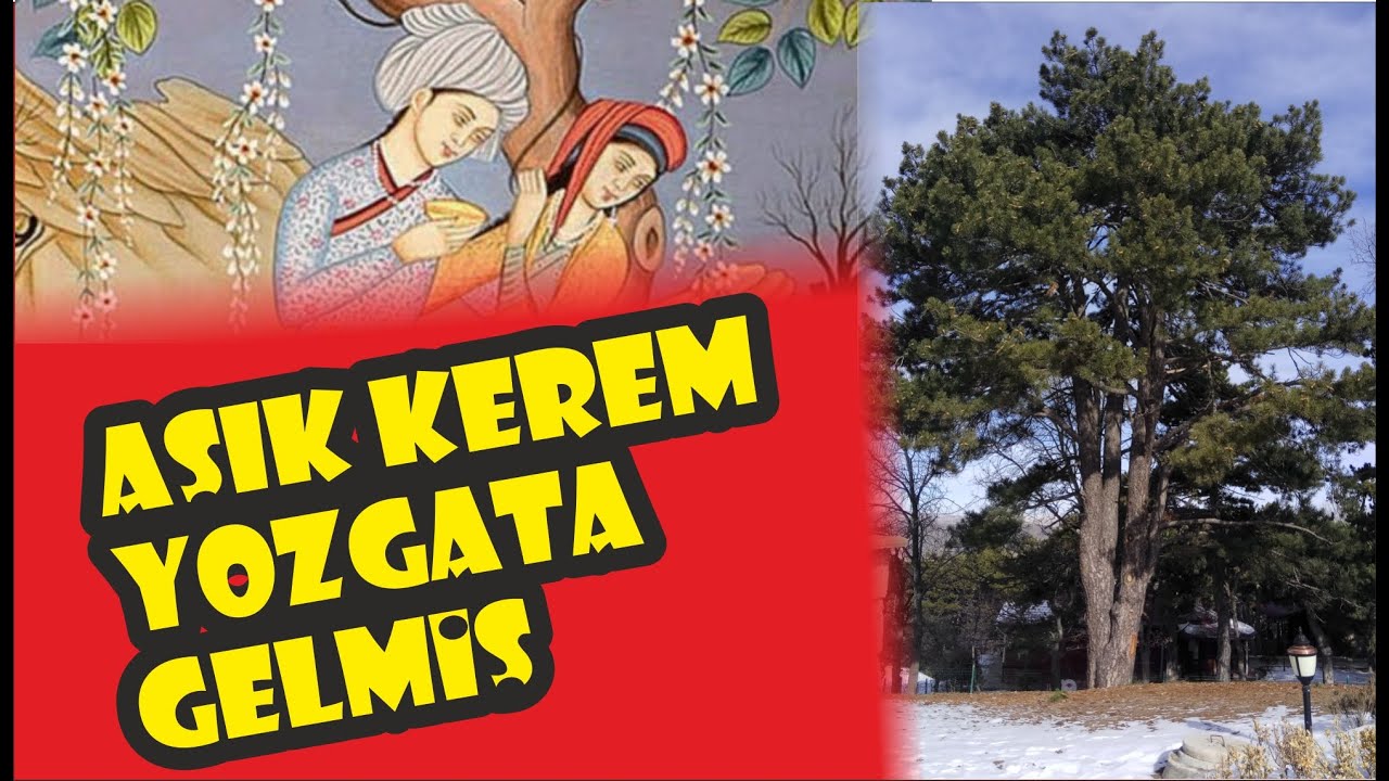 YOZGAT'TA SEVDA TÜRKÜLERİ FISILDAYAN ORMAN