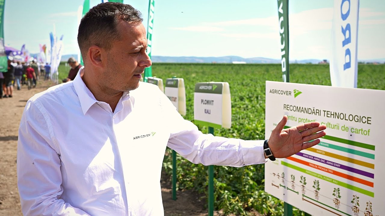 Tehnologia Agricover de cultivare a cartofului: culturi sănătoase și producții sporite