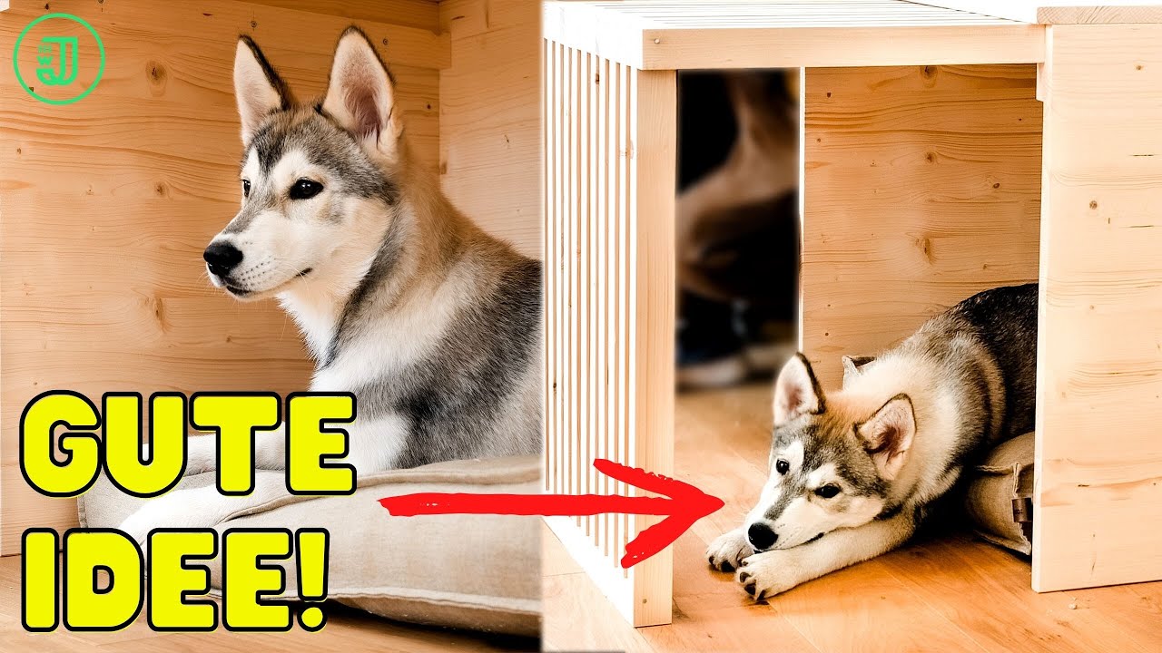 DAS ist die perfekte HUNDEHÜTTE für deinen Vierbeiner! | DIY Hundebett bauen | Jonas Winkler
