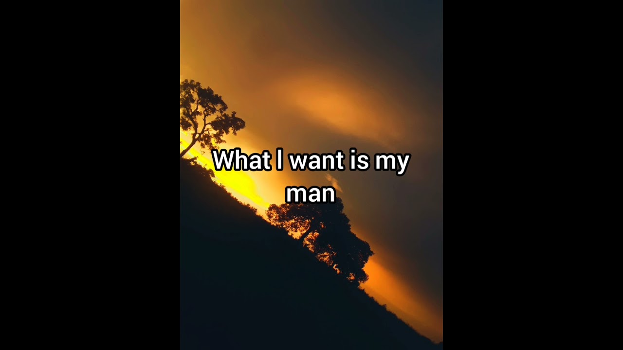 Bambo ajuh 