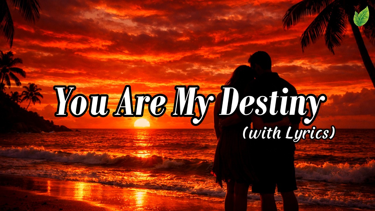 You Are My Destiny💞 | Romantic Love Songs ❤️| Beautiful Love Songs Playlist🎶 | Lyric Video⚡