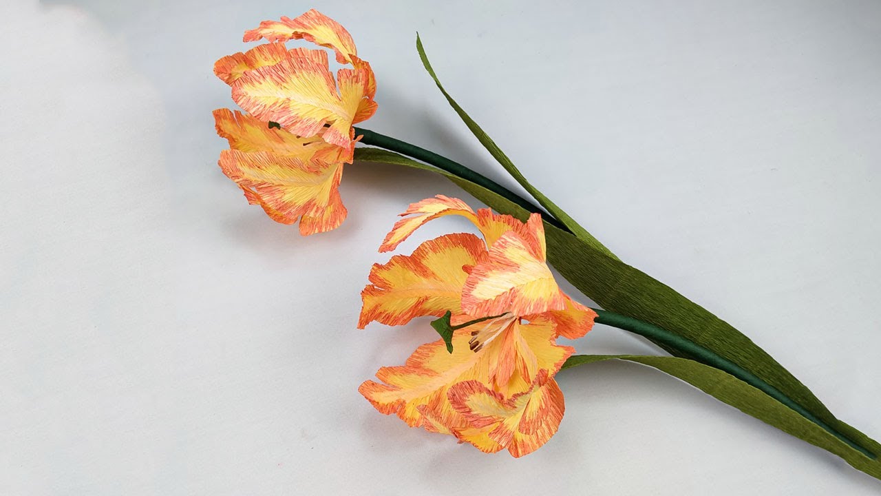 Parrot Tulip Paper Flower DIY Craft | Bopha Handmade