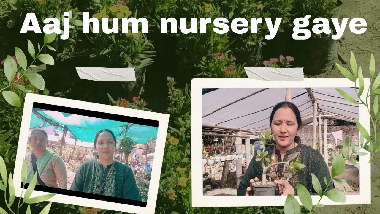 Aaj Ham nursery gaye the 🪴🌿🌹🌱|| #puspavlogskalakoti || Daily vlogs