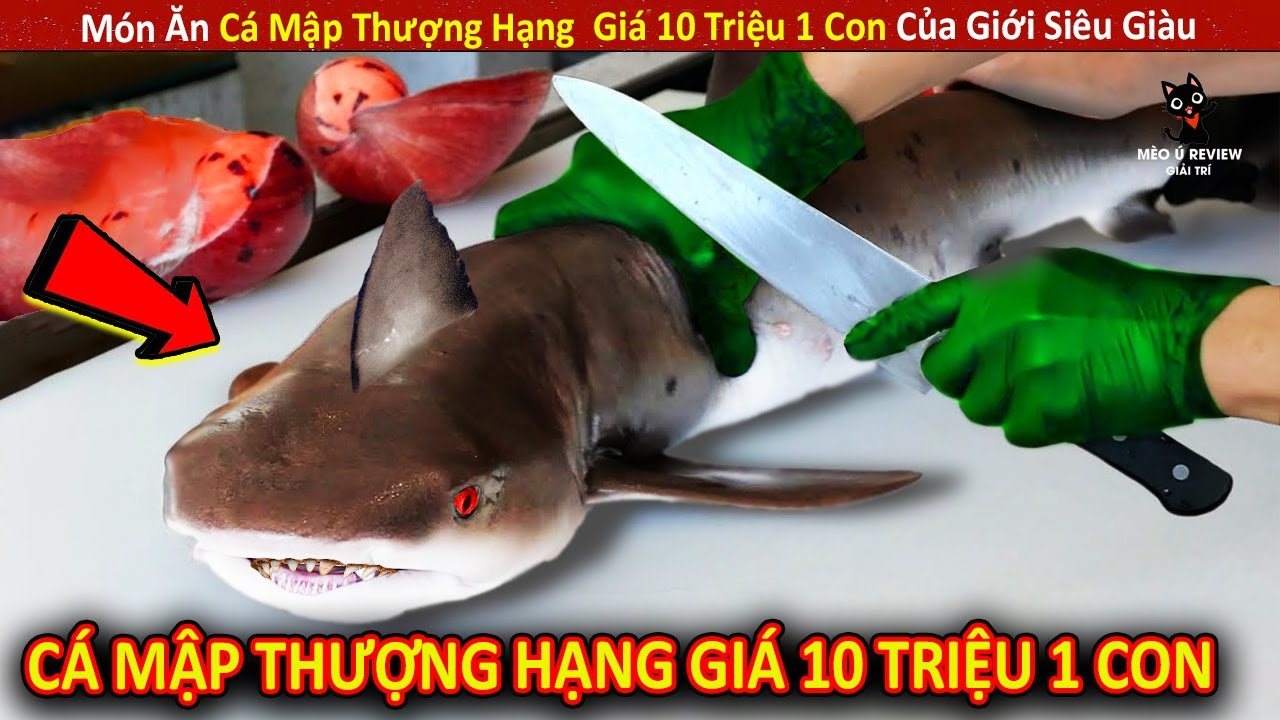 Món Ăn Cá Mập Thượng Hạng Giá 10 Triệu 1 Con Của Giới Siêu Giàu || Review Giải Trí Đời Sống