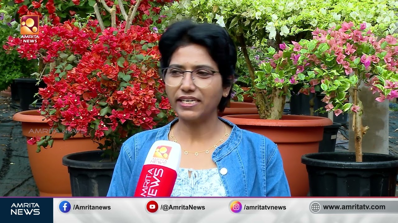 എന്തൊക്കെയാടാ ഇവിടെ നടക്കുന്നേ.? ബൊഗെയ്ൻവില്ല കൊണ്ട് വീട് സ്വർഗ്ഗമാക്കി | Bougainvillea