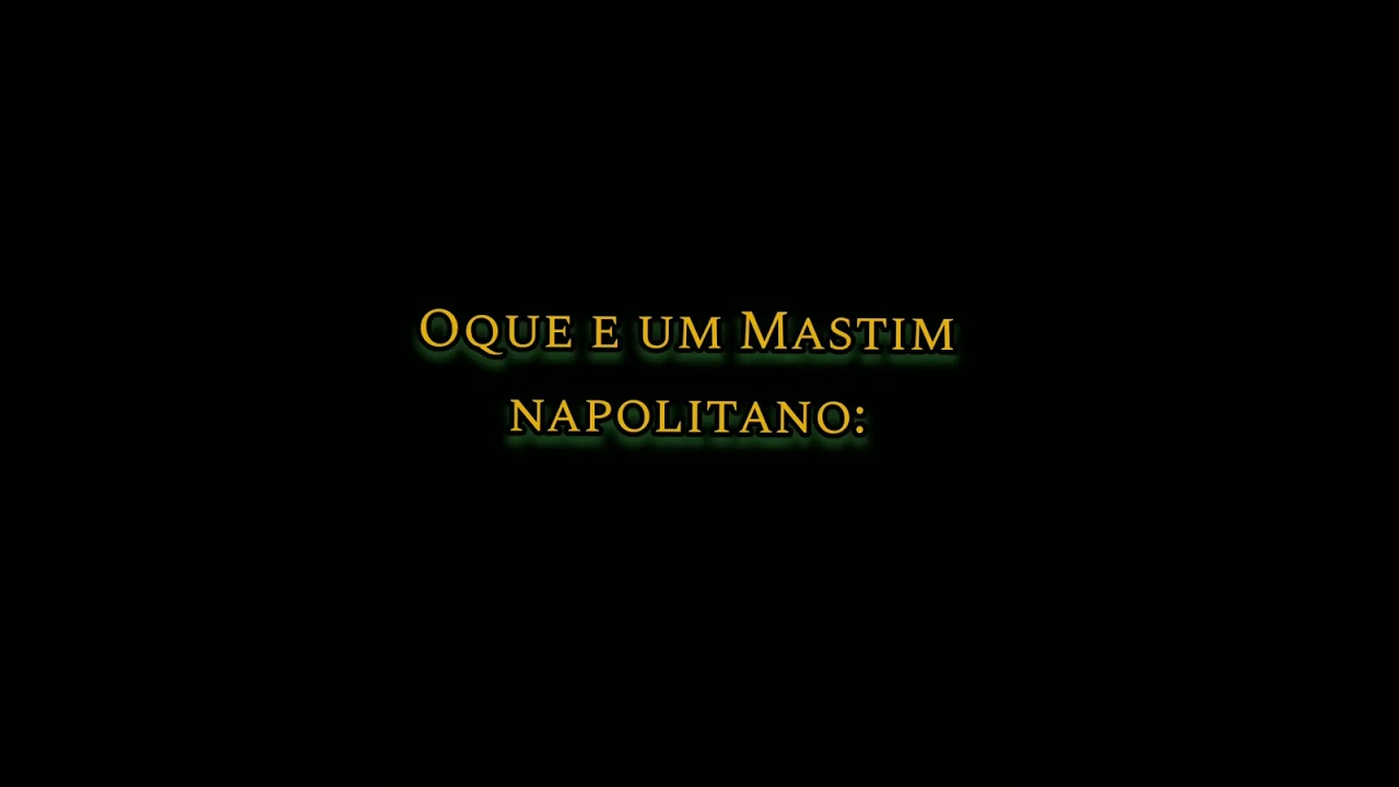 C&atilde;es x C&atilde;es: Mastim Napolitano #shortsdog