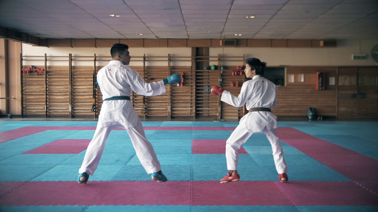 Karate - Movimientos