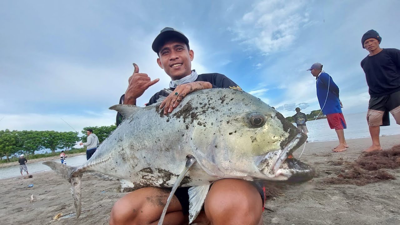 Monster GT 22 KG ‼️Mengamuk‼️Sampai Joran Daido Predator Melengkung tajam‼️