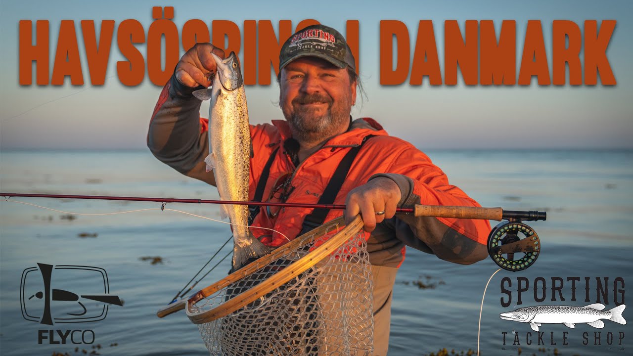 Havsöring i Danmark med The Fly Company
