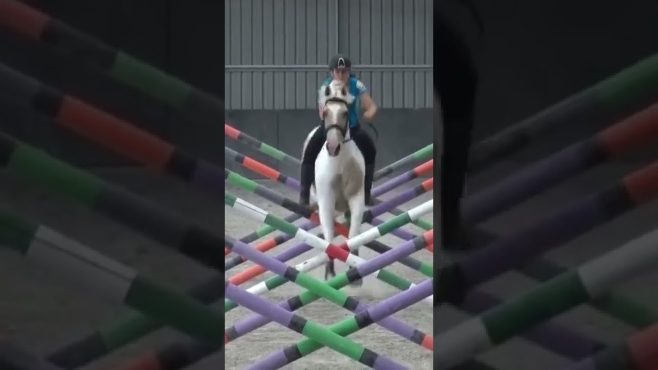 This is … AMAZING 🤩 