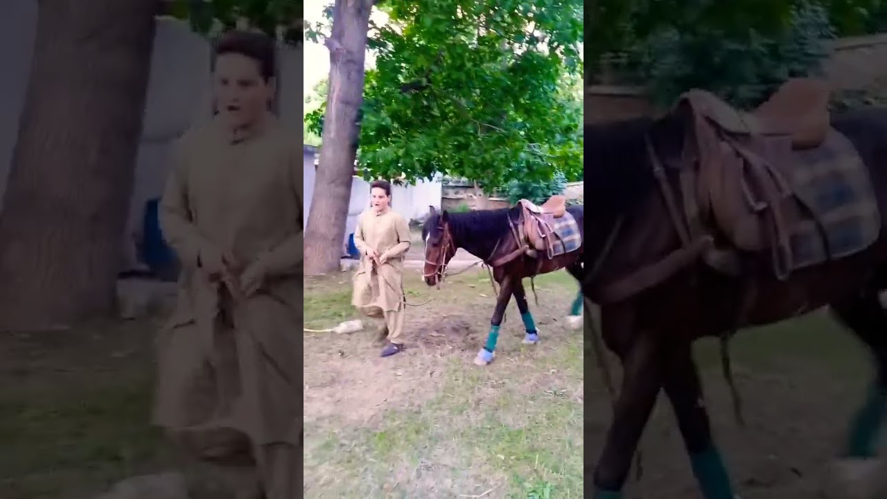 In Chitral and Gilgit polo runs in the blood#horse #attitude #early #pakistan #chitral #gilgit